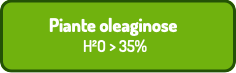 Piante oleaginose H²O > 35%